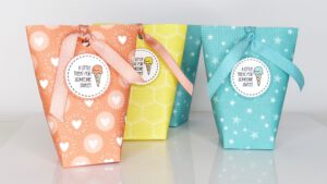 Verpackung, Box in a Bag, Anleitung, Stampin Up