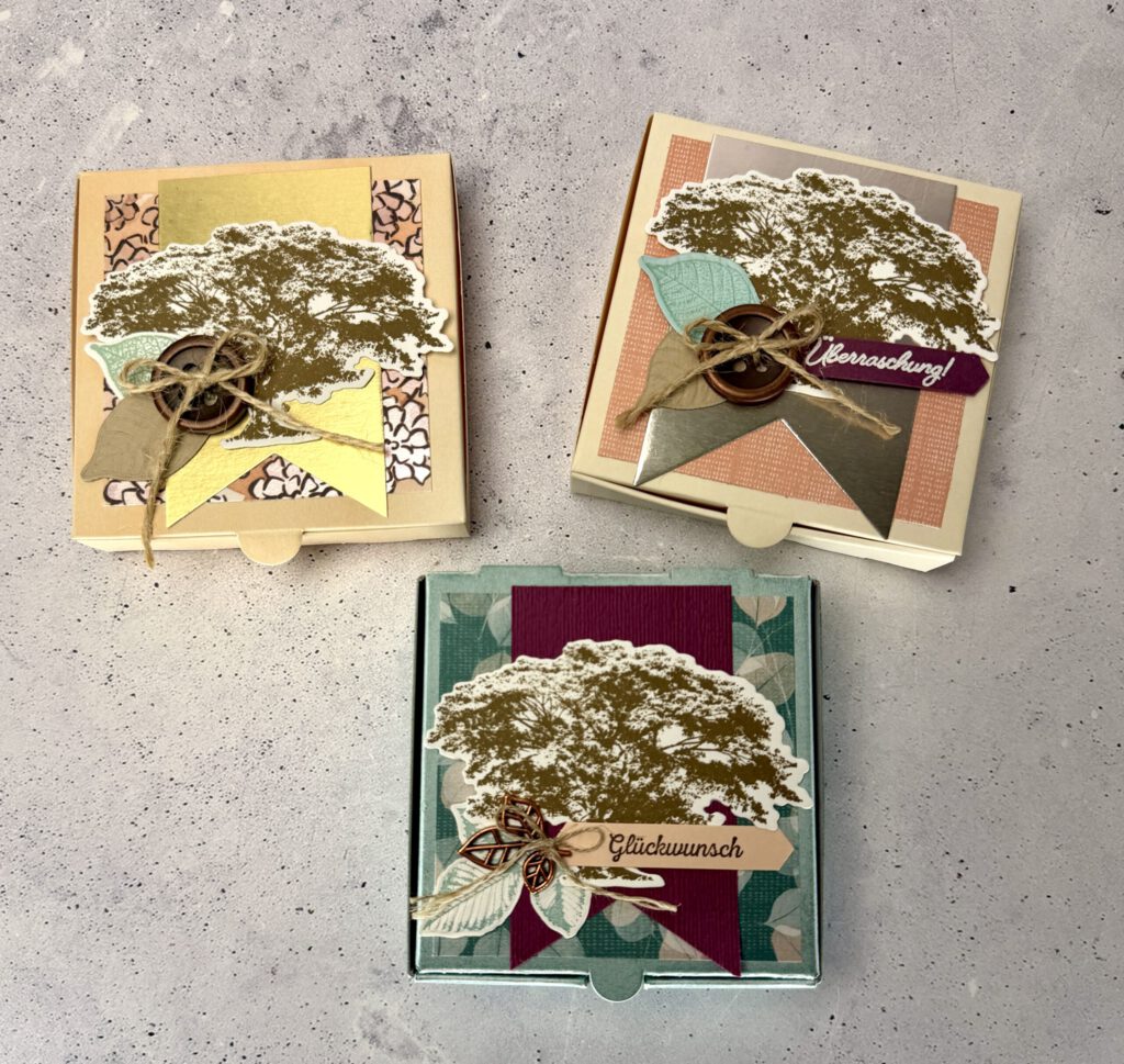 Pizzabox, Kraft der Natur, Anleitung, Video, YouTube, Stampin up, Handmade