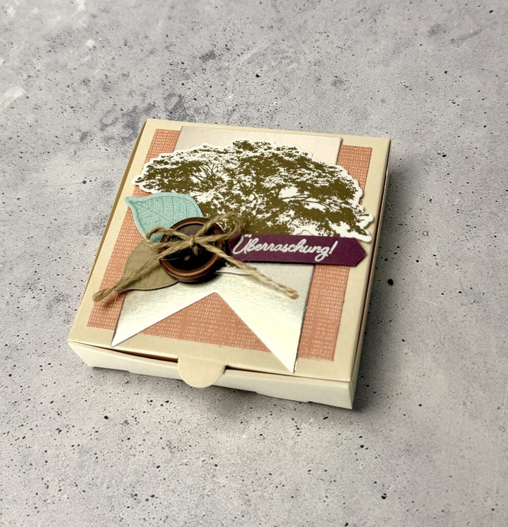 Pizzabox, Kraft der Natur, Anleitung, Video, YouTube, Stampin up, Handmade