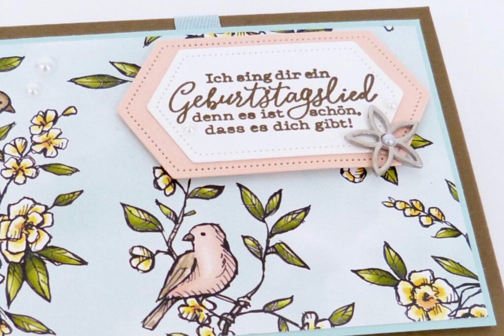 Geschenkbox, Vogelgarten, Anleitung, Verpackung, Geburtstag, Stampin Up