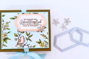Geschenkbox, Vogelgarten, Anleitung, Verpackung, Geburtstag, Stampin Up