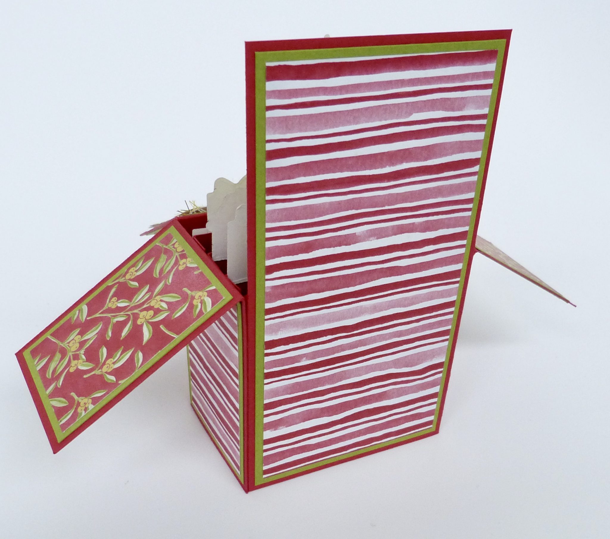 Card in a Box, Anleitung, Weihnachten, Kartenform, Stampin Up