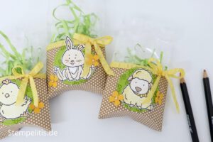 Kissenschachtel, Ostern, Anleitung, Stampin Up, Stempelitis, handmade, basteln