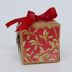 handdekorierte geschenkschachtel mit stern und schriftzug, geschenkbox mit weihnachtlichem band und etikett, detailaufnahme stern auf geschenkschachtel, geschenkschachtel von oben mit schleife, seitenansicht handdekorierte weihnachtsschachtel, geschenkschachtel mit karomuster und band, weihnachtliche geschenkverpackung mit lecker-lecker motiv