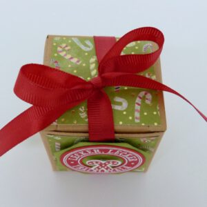 handdekorierte geschenkschachtel mit stern und schriftzug, geschenkbox mit weihnachtlichem band und etikett, detailaufnahme stern auf geschenkschachtel, geschenkschachtel von oben mit schleife, seitenansicht handdekorierte weihnachtsschachtel, geschenkschachtel mit karomuster und band, weihnachtliche geschenkverpackung mit lecker-lecker motiv