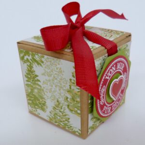 handdekorierte geschenkschachtel mit stern und schriftzug, geschenkbox mit weihnachtlichem band und etikett, detailaufnahme stern auf geschenkschachtel, geschenkschachtel von oben mit schleife, seitenansicht handdekorierte weihnachtsschachtel, geschenkschachtel mit karomuster und band, weihnachtliche geschenkverpackung mit lecker-lecker motiv