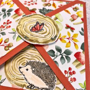 Funfold, Hedgehog, Karten basteln, Stampin Up, handmade, Anleitung