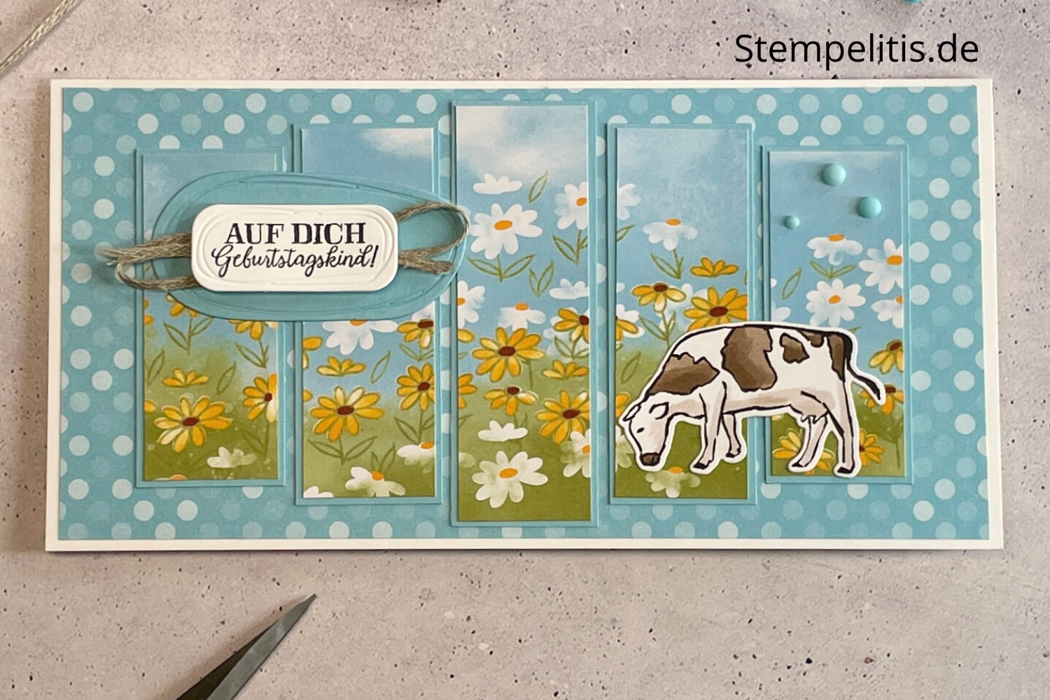 5 Panel Karte, Karten basteln, Stampin Up, handmade, Anleitung