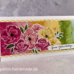 Farbenfrohe Rosen