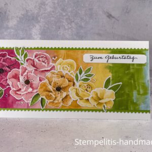 Farbenfrohe Rosen