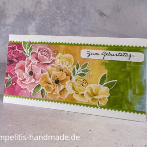 Farbenfrohe Rosen
