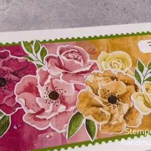 Farbenfrohe Rosen