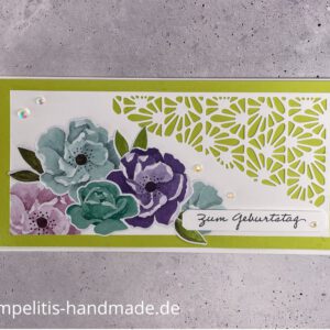 Farbenfrohe Rosen