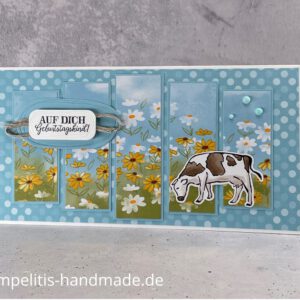 Auf dich, Geburtstagskind