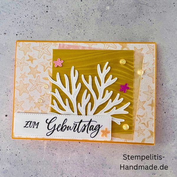 Ozean, Krebs, Hummer, Tintenfisch, Seestrrn, Meer, Stampin Up, Stempelset, handmade, Karte, Basteln, Geburtstag, Freundschaft, Grußkarte, DIY, Kolorieren, Klarsichtstempel, Scrapbooking, Papierbasteln, Bastelideen, Karten gestalten, Motivstempel, Bastelzubehör, kreative Karten, Stempeln, Stempelmotive, Bastelset, Bastelkarte, Kartenbasteln, Bastelprojekt, Handarbeit, selbstgemacht, Bastelstempel, Bastelspaß, Bastelfreude