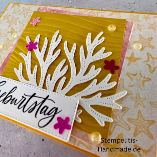 Ozean, Krebs, Hummer, Tintenfisch, Seestrrn, Meer, Stampin Up, Stempelset, handmade, Karte, Basteln, Geburtstag, Freundschaft, Grußkarte, DIY, Kolorieren, Klarsichtstempel, Scrapbooking, Papierbasteln, Bastelideen, Karten gestalten, Motivstempel, Bastelzubehör, kreative Karten, Stempeln, Stempelmotive, Bastelset, Bastelkarte, Kartenbasteln, Bastelprojekt, Handarbeit, selbstgemacht, Bastelstempel, Bastelspaß, Bastelfreude
