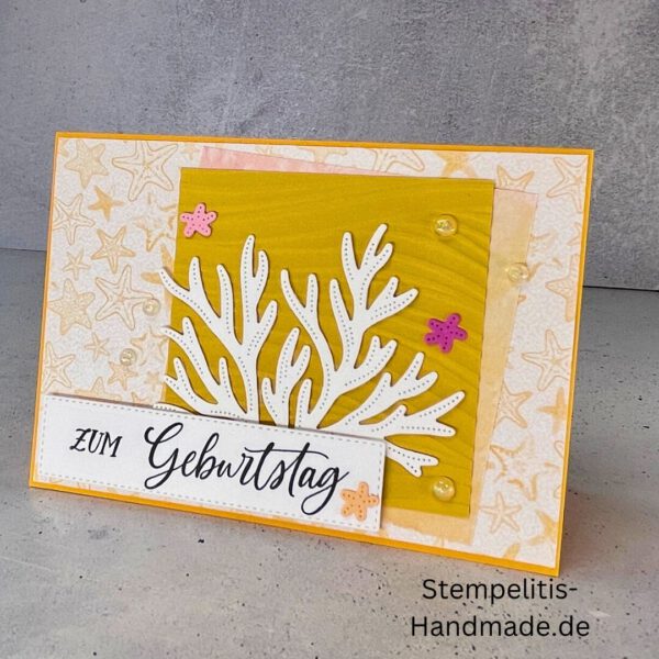 Ozean, Krebs, Hummer, Tintenfisch, Seestrrn, Meer, Stampin Up, Stempelset, handmade, Karte, Basteln, Geburtstag, Freundschaft, Grußkarte, DIY, Kolorieren, Klarsichtstempel, Scrapbooking, Papierbasteln, Bastelideen, Karten gestalten, Motivstempel, Bastelzubehör, kreative Karten, Stempeln, Stempelmotive, Bastelset, Bastelkarte, Kartenbasteln, Bastelprojekt, Handarbeit, selbstgemacht, Bastelstempel, Bastelspaß, Bastelfreude