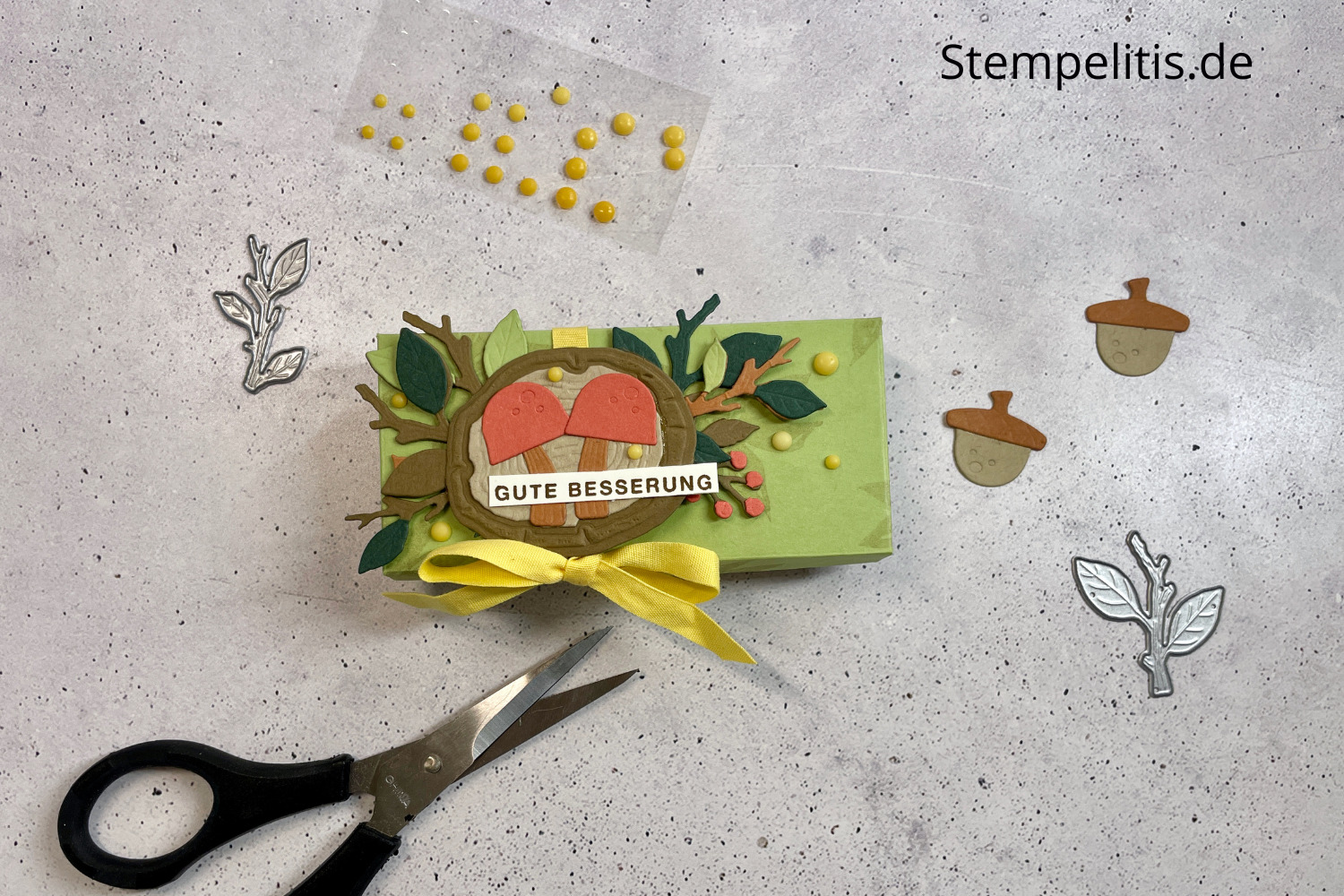 Gute Besserung, Verpackung für Taschentücher, Herbst, Jahresringe, Stampin Up, Stempelitis, Papierbasteln, handmade