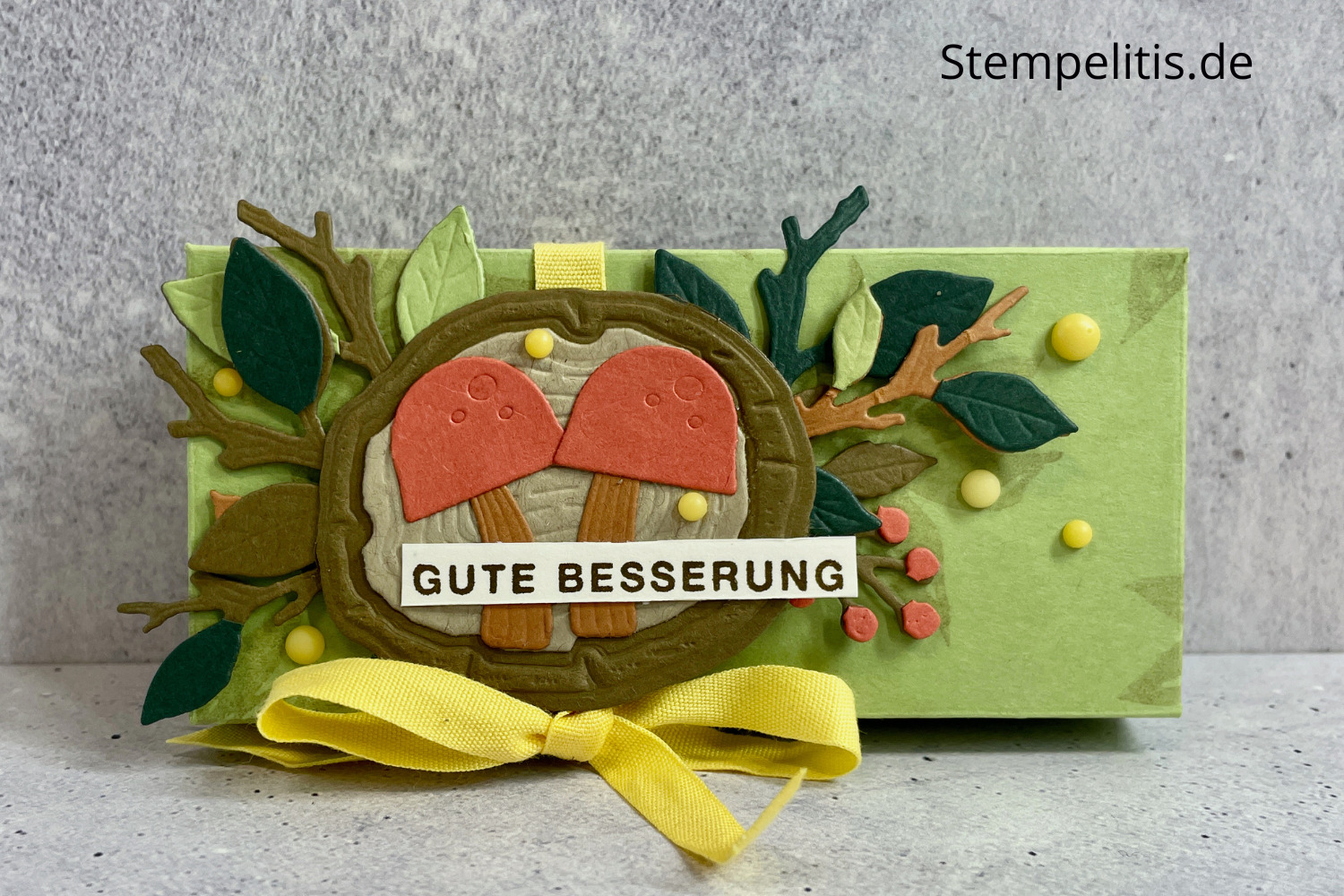 Gute Besserung, Verpackung für Taschentücher, Herbst, Jahresringe, Stampin Up, Stempelitis, Papierbasteln, handmade