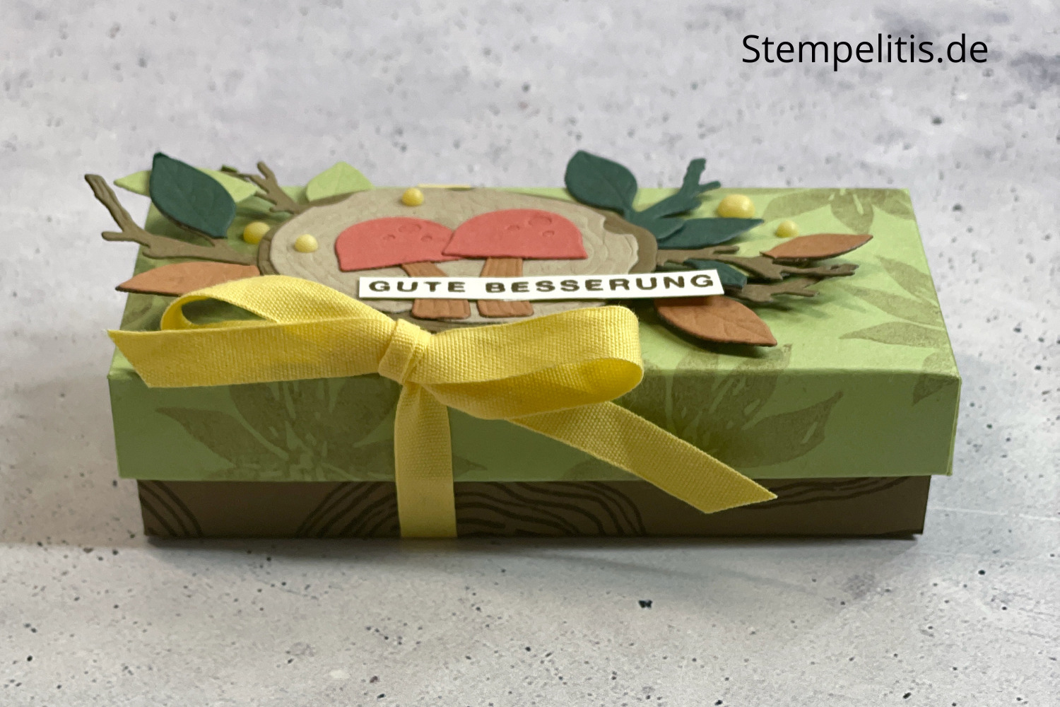Gute Besserung, Verpackung für Taschentücher, Herbst, Jahresringe, Stampin Up, Stempelitis, Papierbasteln, handmade