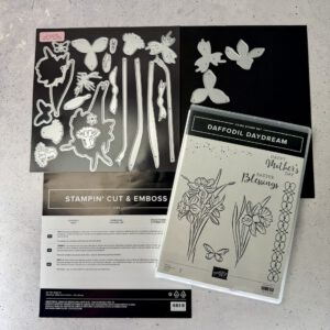 Daffodil Daydream, Daffodil Daydream Stempelset, Daffodil Daydream Stempelset mit Stanzformen, Stampin Up Daffodil Daydream, Stampin Up Stempelset gebraucht, Osterglocke Stanzformen, Osterglocken Stempel, Blumen Stempelset, Blumen Stanzformen, Osterkarten basteln, Frühlingskarten basteln, Cling Stempel, Gummistempel, Stampin Up gebraucht, Bastelset Blumen, florales Stempelset
